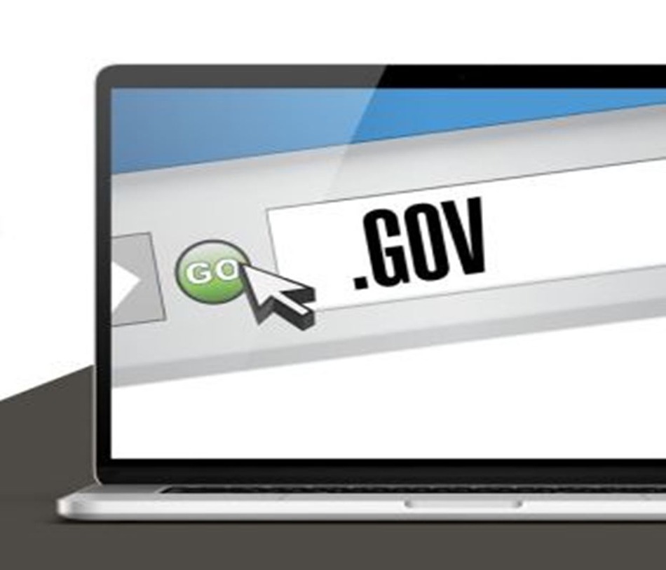 Best Government Website provider